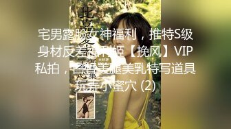 宅男露脸女神福利，推特S级身材反差福利姬【挽风】VIP私拍，白皙美腿美乳特写道具玩弄小蜜穴 (2)