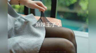 麻辣王子 2