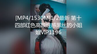 [MP4/1530M]1/2最新 第十四部红色高跟性感黑丝的小姐姐VIP1196