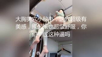 大胸美穴小秘书，这穴超级有美感，操起来也超级舒服，你们艹过这种逼吗