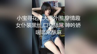 两个游戏好友约炮野战貂蝉激战吕布-凌安